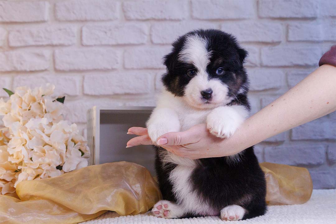 1 месяц