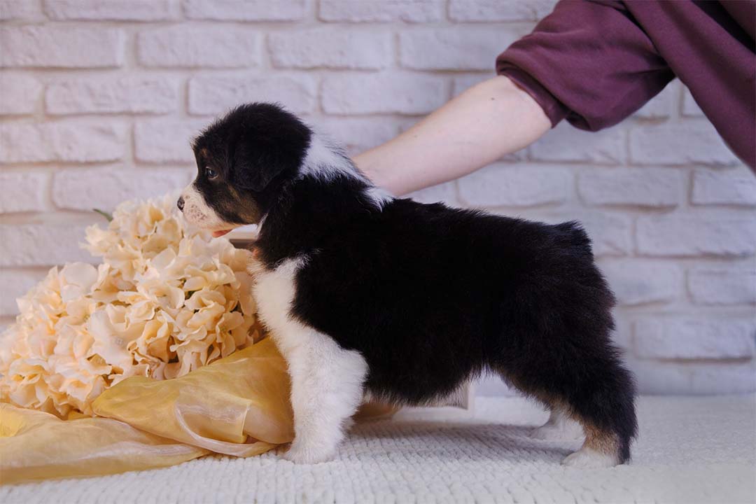 1 месяц