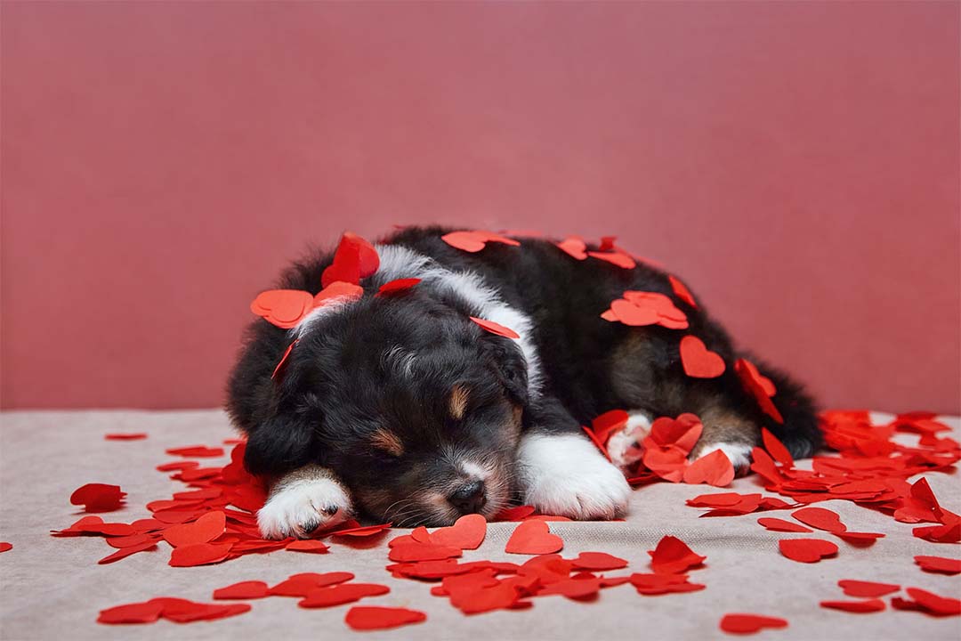 1 месяц