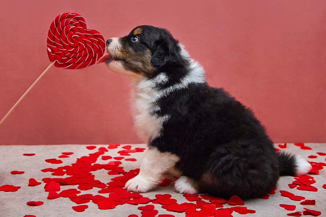 1 месяц