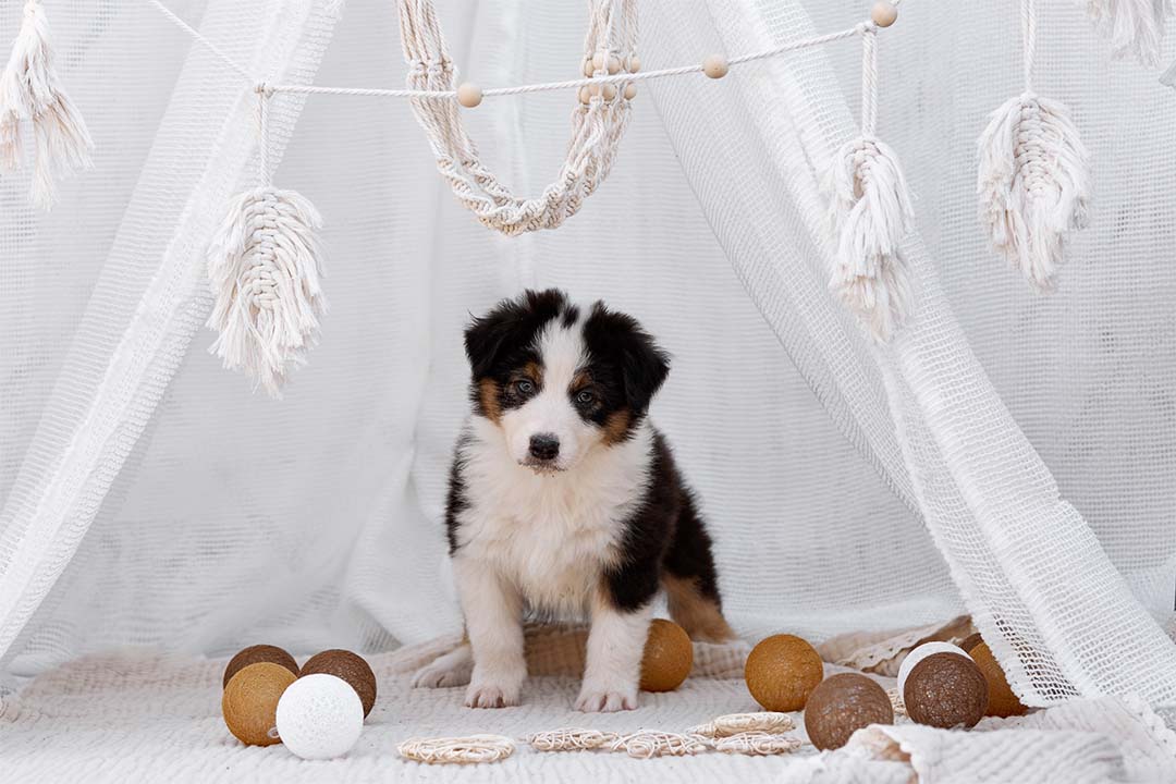 1 месяц