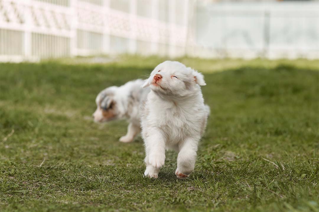 1 месяц