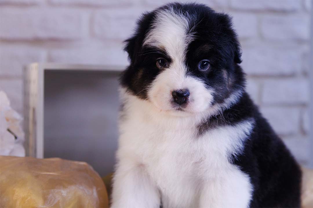 1 месяц