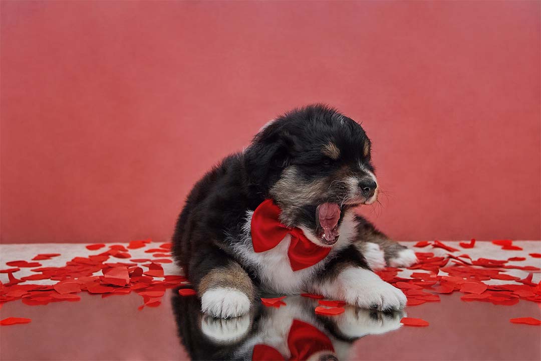 1 месяц