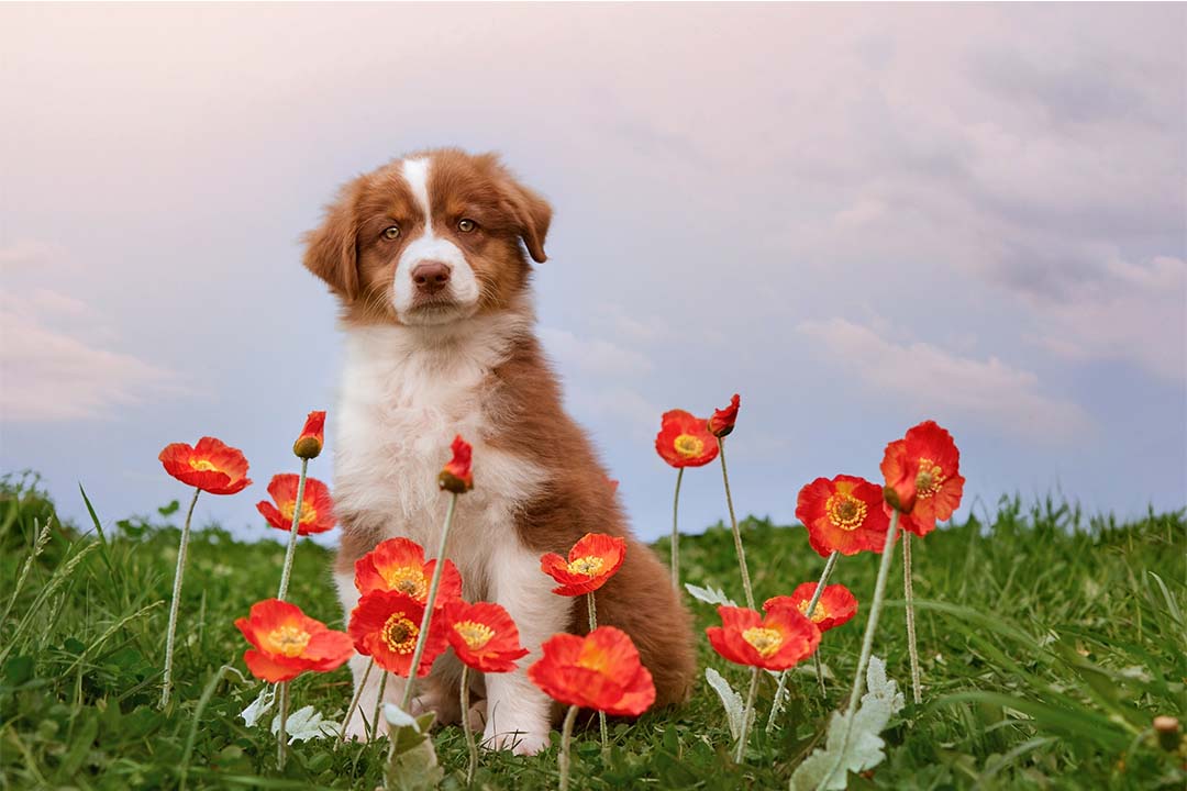 2 месяца