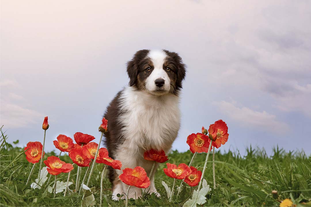 2 месяца