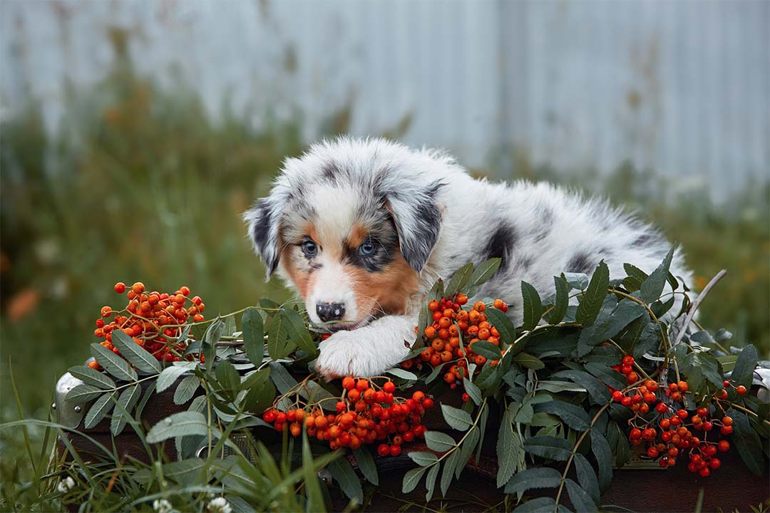 2 месяца