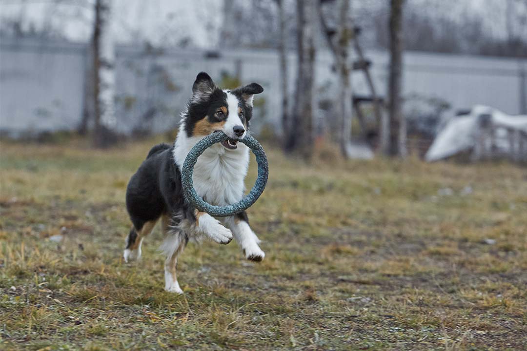4 года