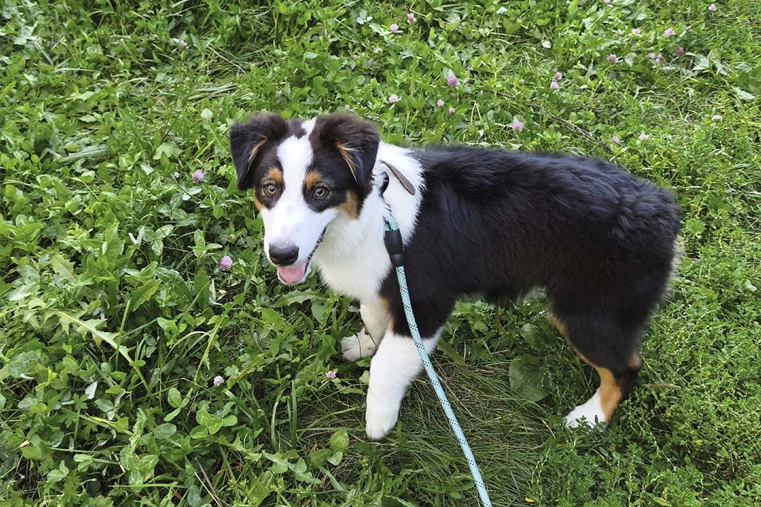 5 месяцев