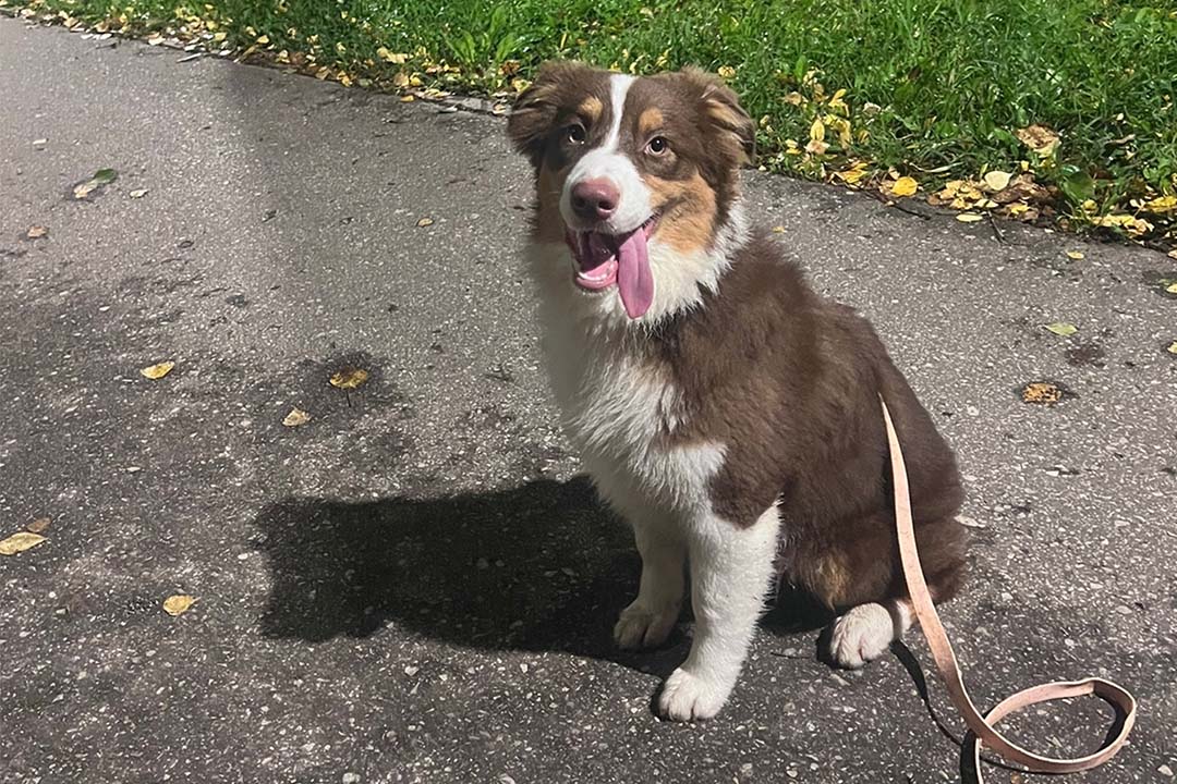 5 месяцев
