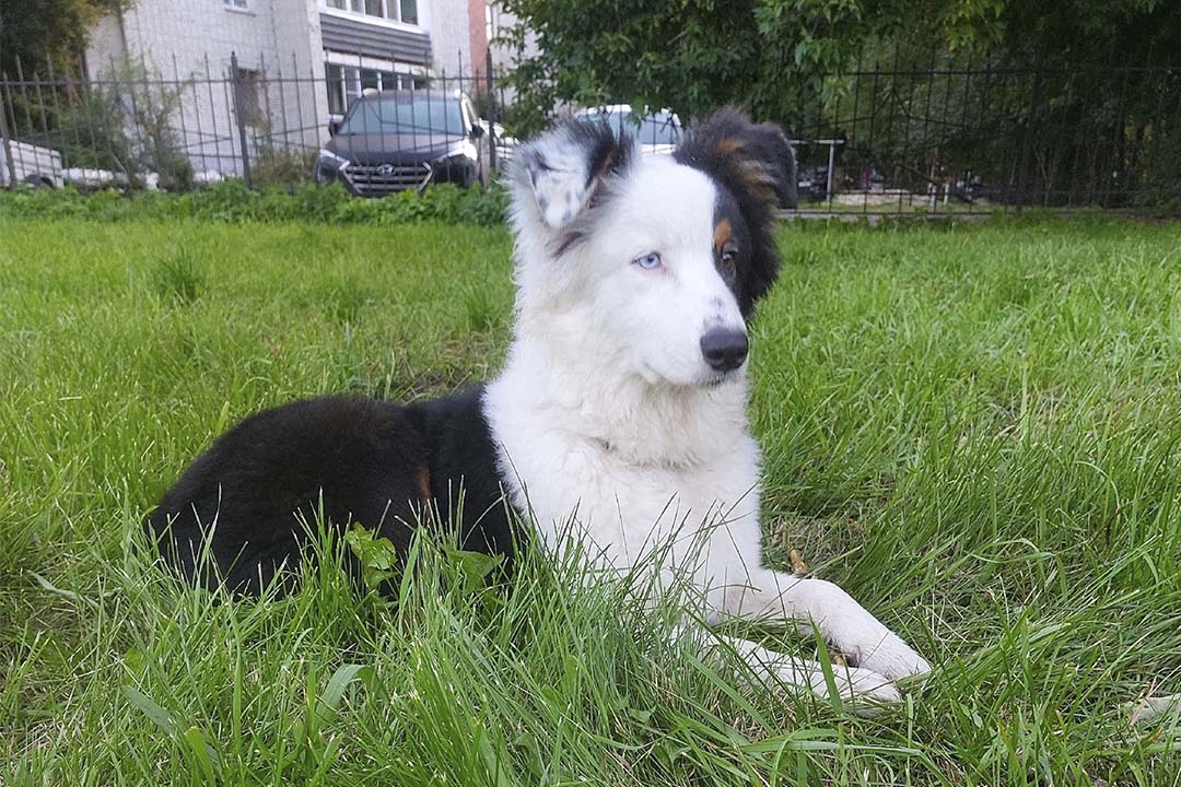 5 месяцев