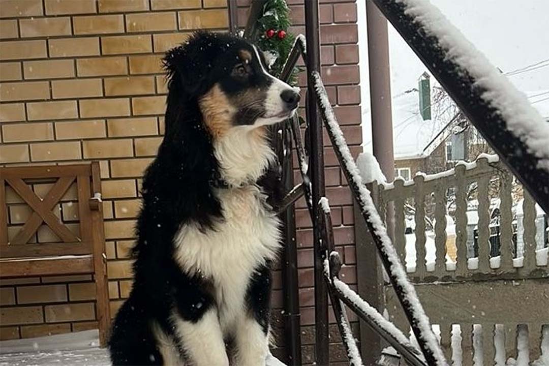 6 месяцев