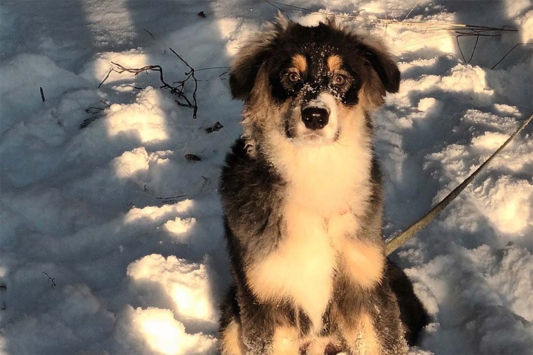 6 месяцев