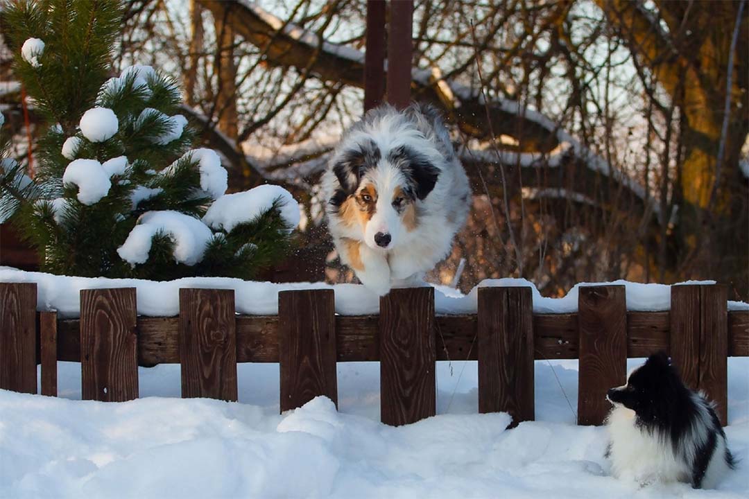 6 месяцев
