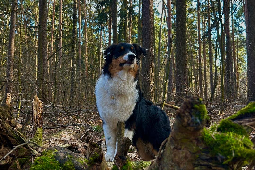 7 месяцев