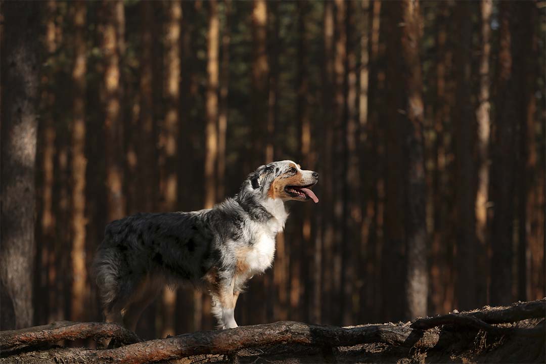 8 лет