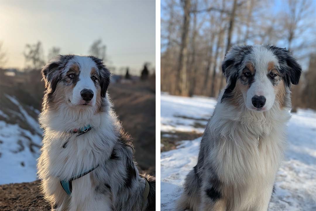 8 месяцев